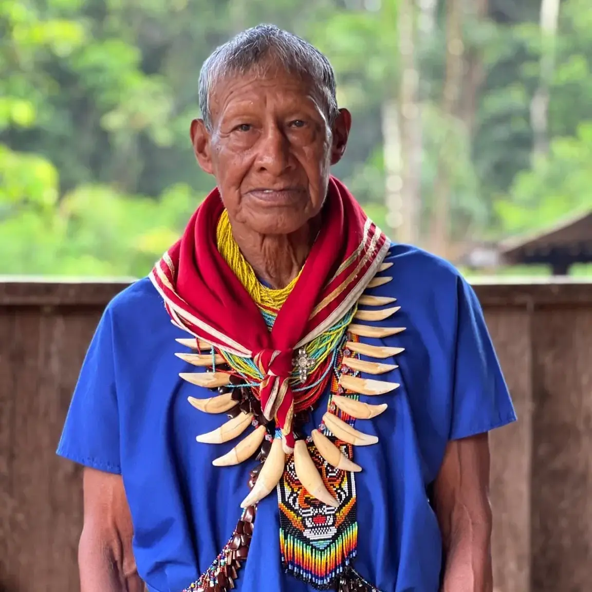 Iowaska (Ayahuasca): The Ancient Medicine That's Changing Lives