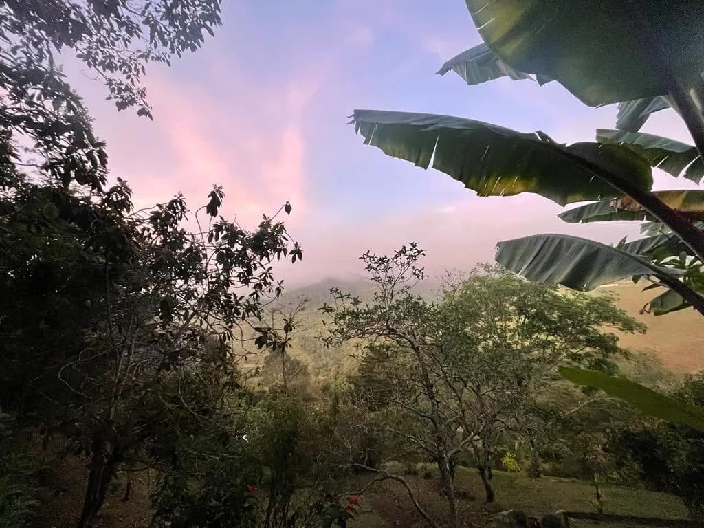 Mountain view across the Yaogará reserve in Antioquia