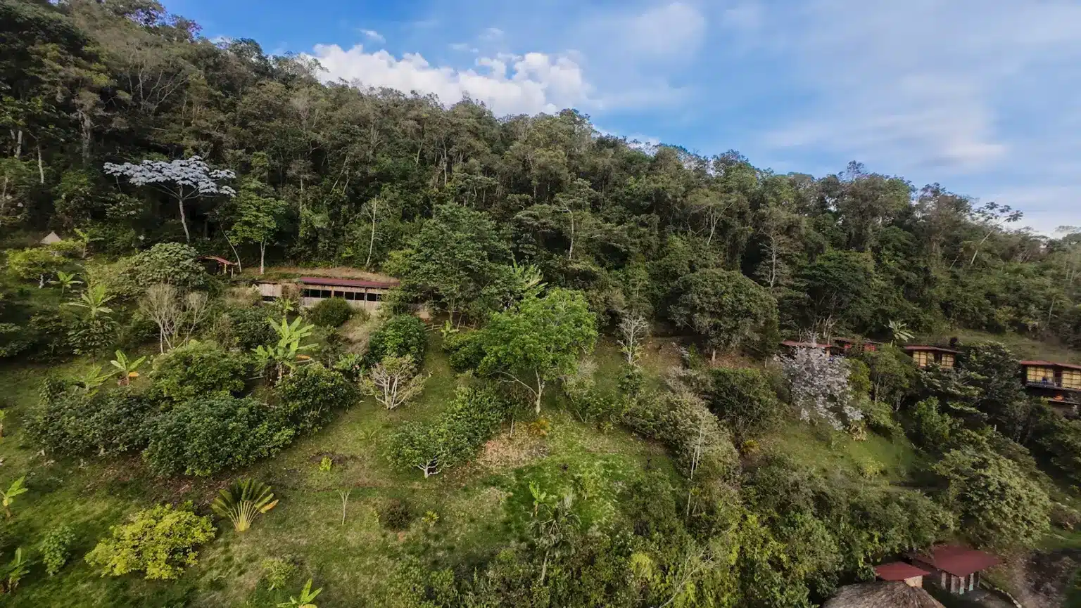 Ayahuasca-Retreats in Medellín: Sicher, authentisch & seit über 15 Jahren Erfahrung