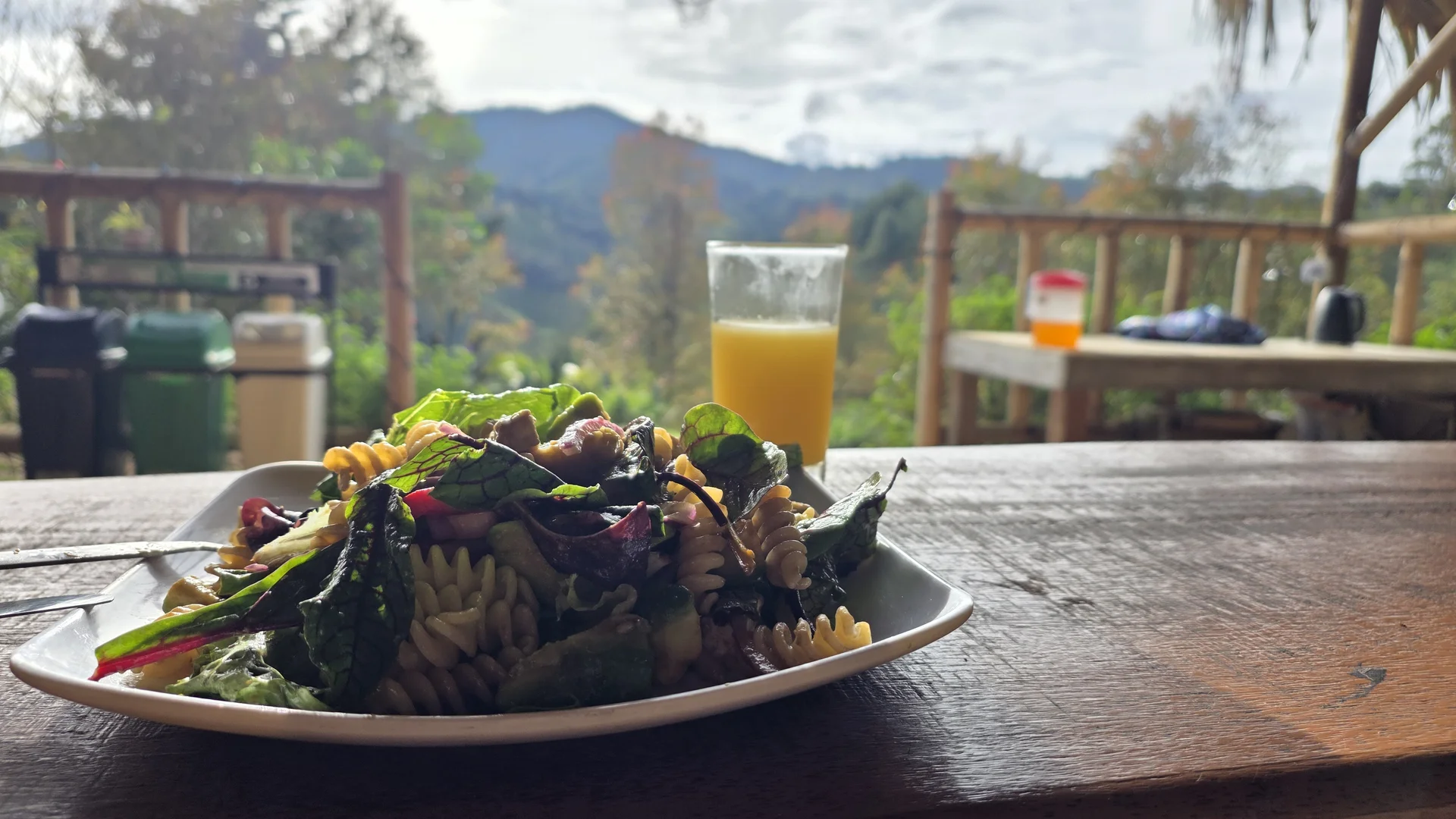 Ayahuasca Diet: Absolute Guide to Purify Your Body and Mind for Ceremony